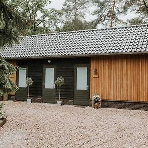 Vakantie studio ForRest